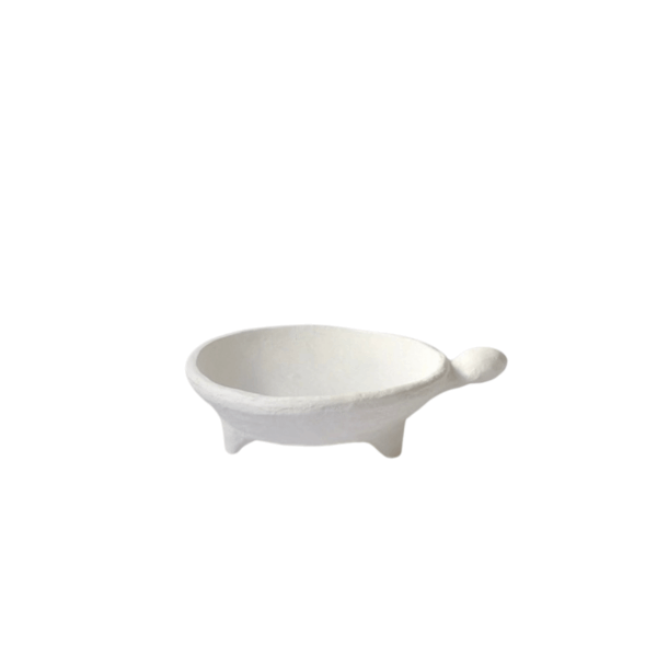 Plat TORTUE