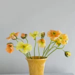 vase daisy jaune ambre