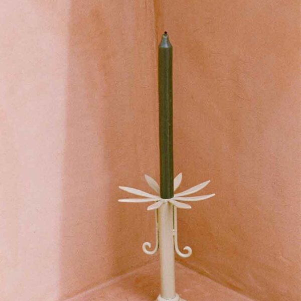 bougoires FLORE