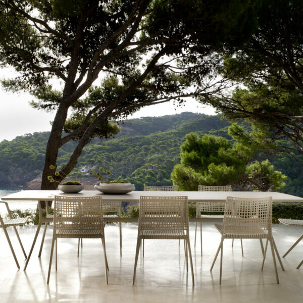 table repas branch tribu