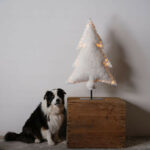 les-sapins-lumineux-blanc-beige norvegien fourrure blanc 2