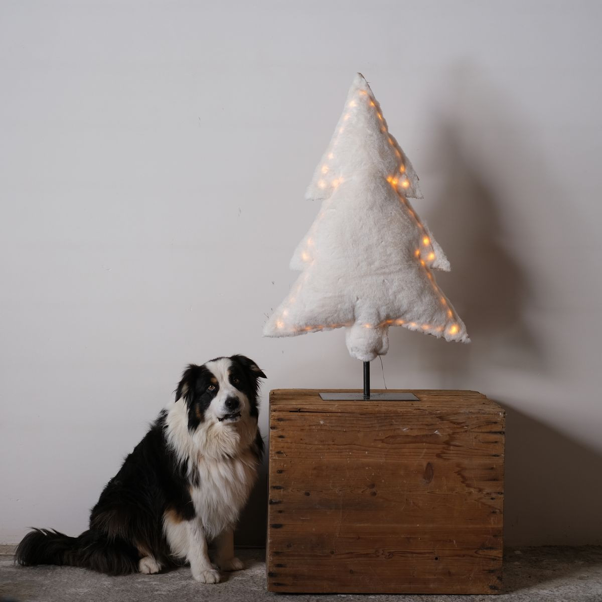 les-sapins-lumineux-blanc-beige norvegien fourrure blanc 2