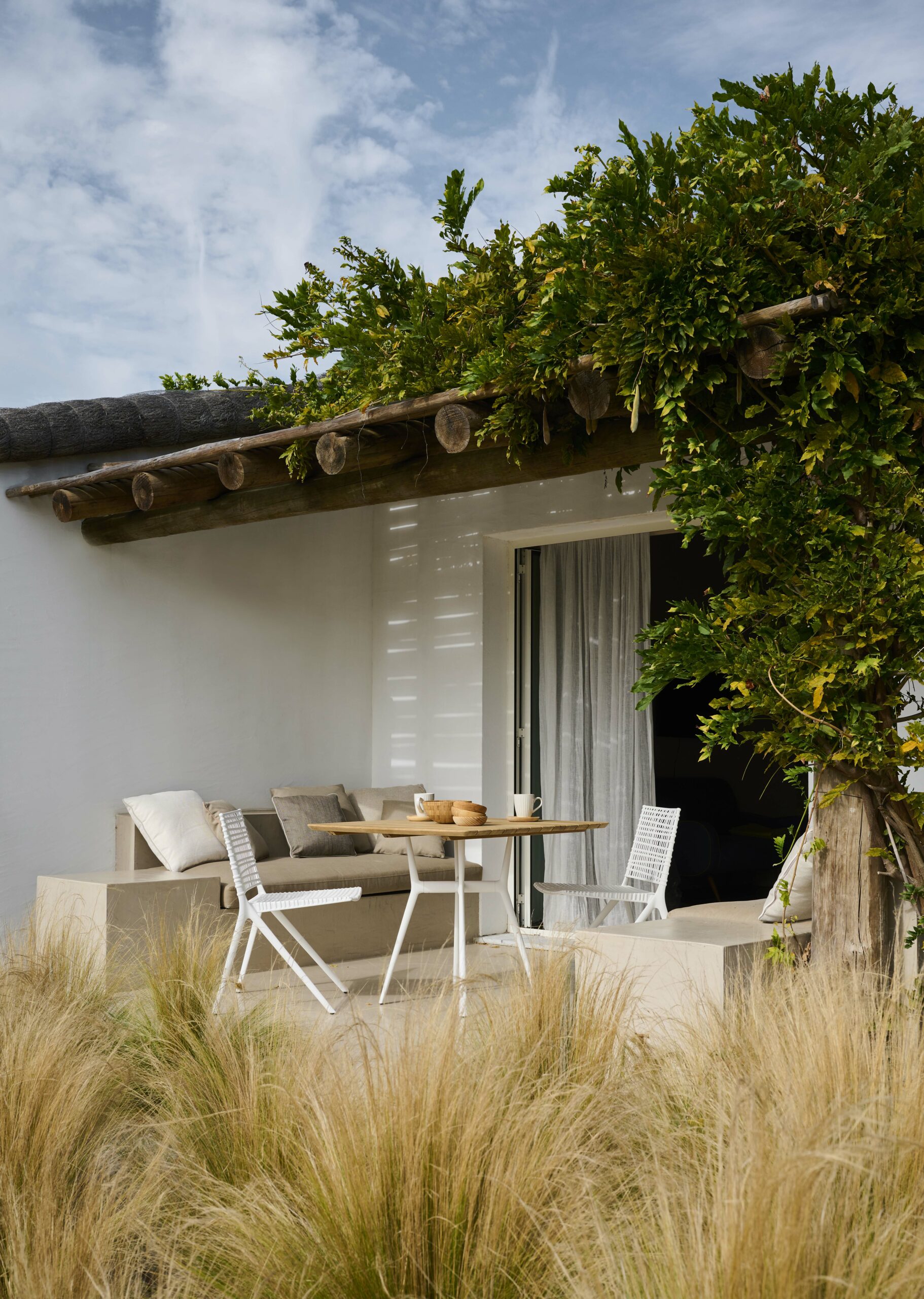 PORTUGAL_2021_BRANCH_detail_DSC7863 - Copie