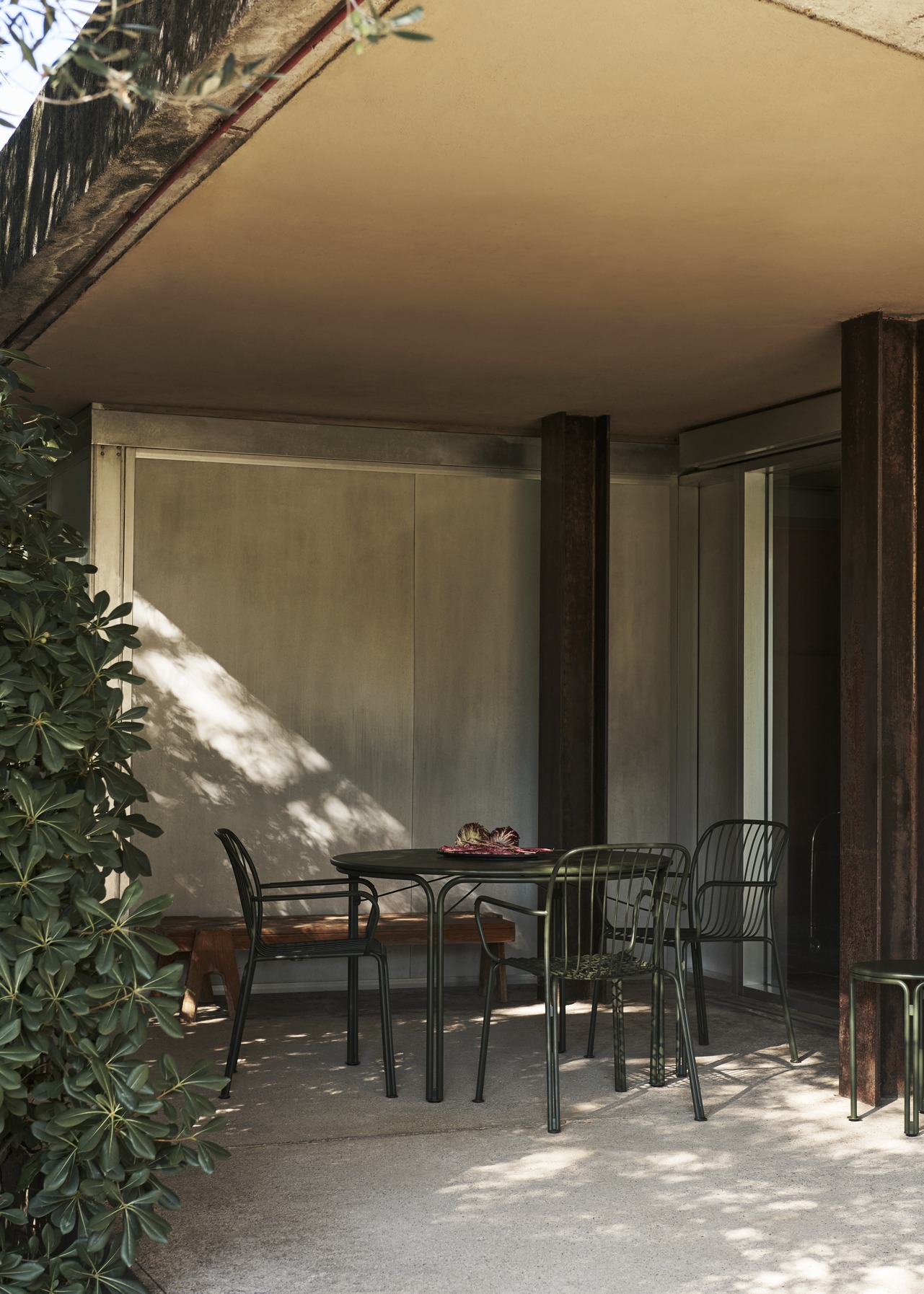 &tradition Thorvald_SC100