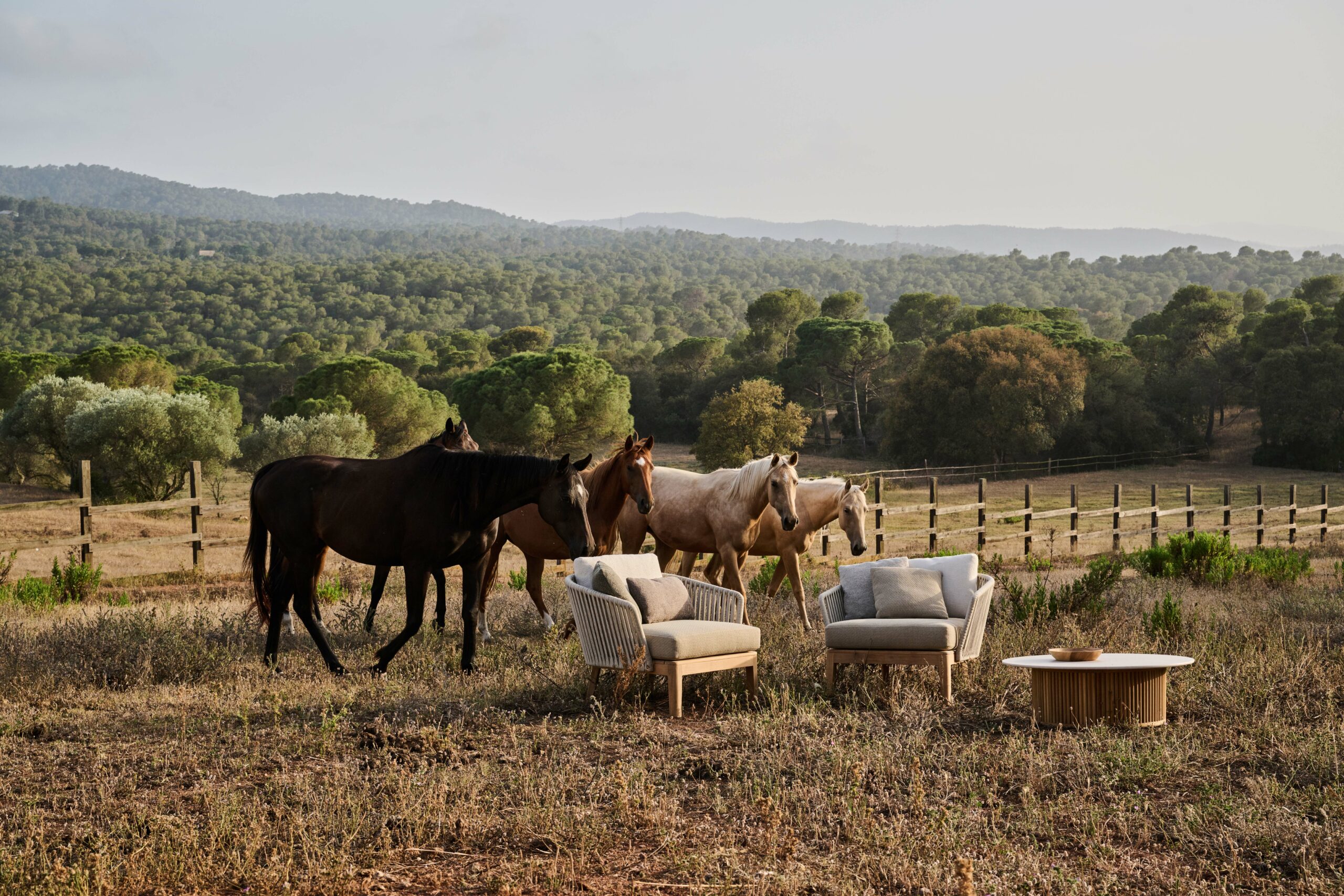 DSC_7773 tribu mood lounge chair
