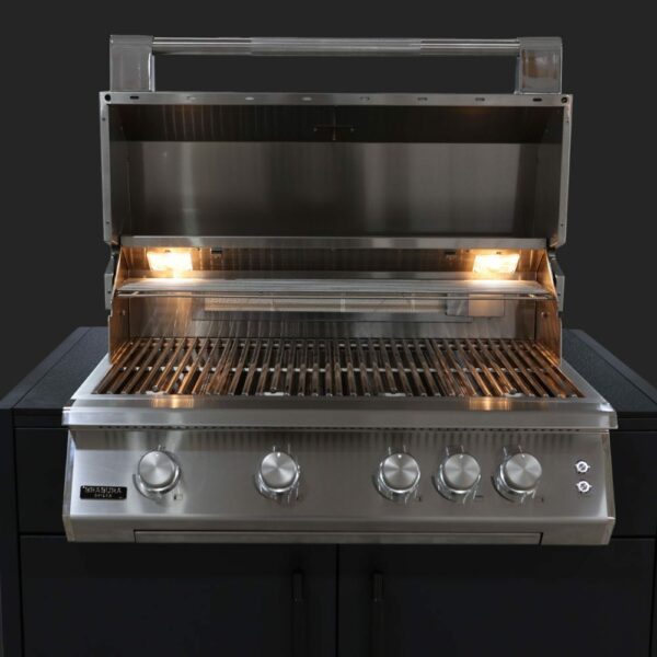 Barbecue FUSION 400 RS - BRABURA GRILLS