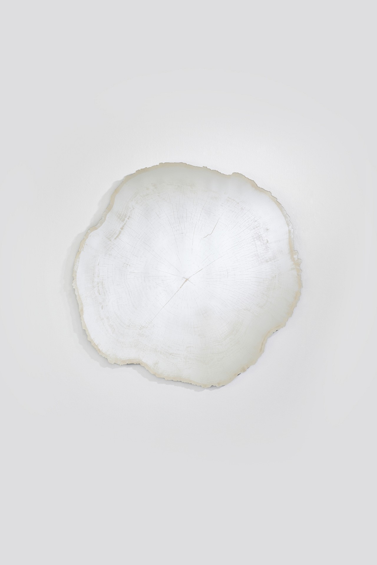 2839_101_arbo_ice_m_packshot-1.1280x0 (1)