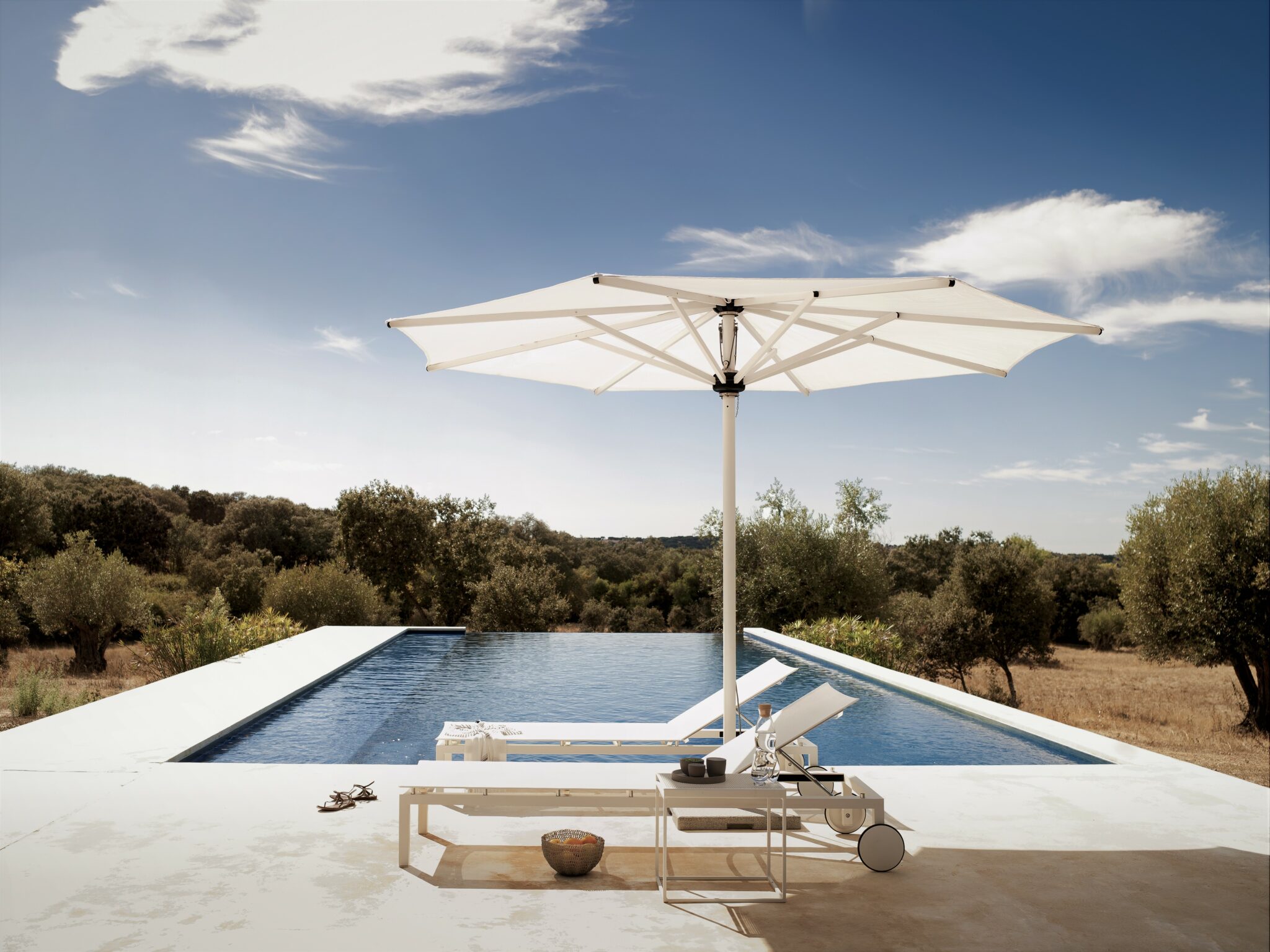 parasol eclipse tribu