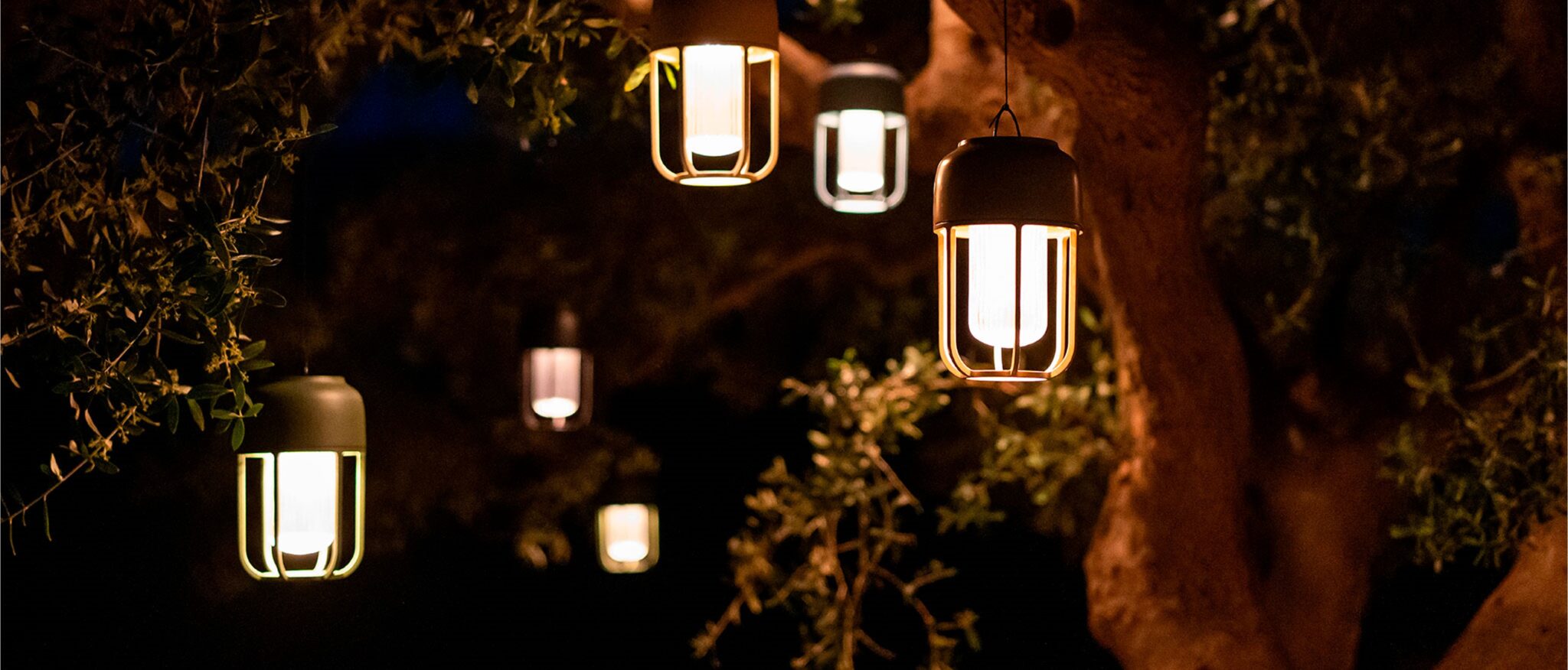 light No.1 houe