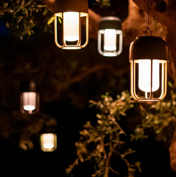 light No.1 houe