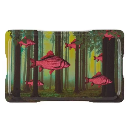 Plateau Dreamfish - GANGZAI